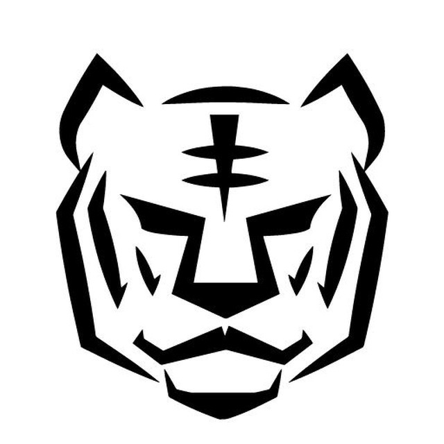 Tiger Research Reports  logo