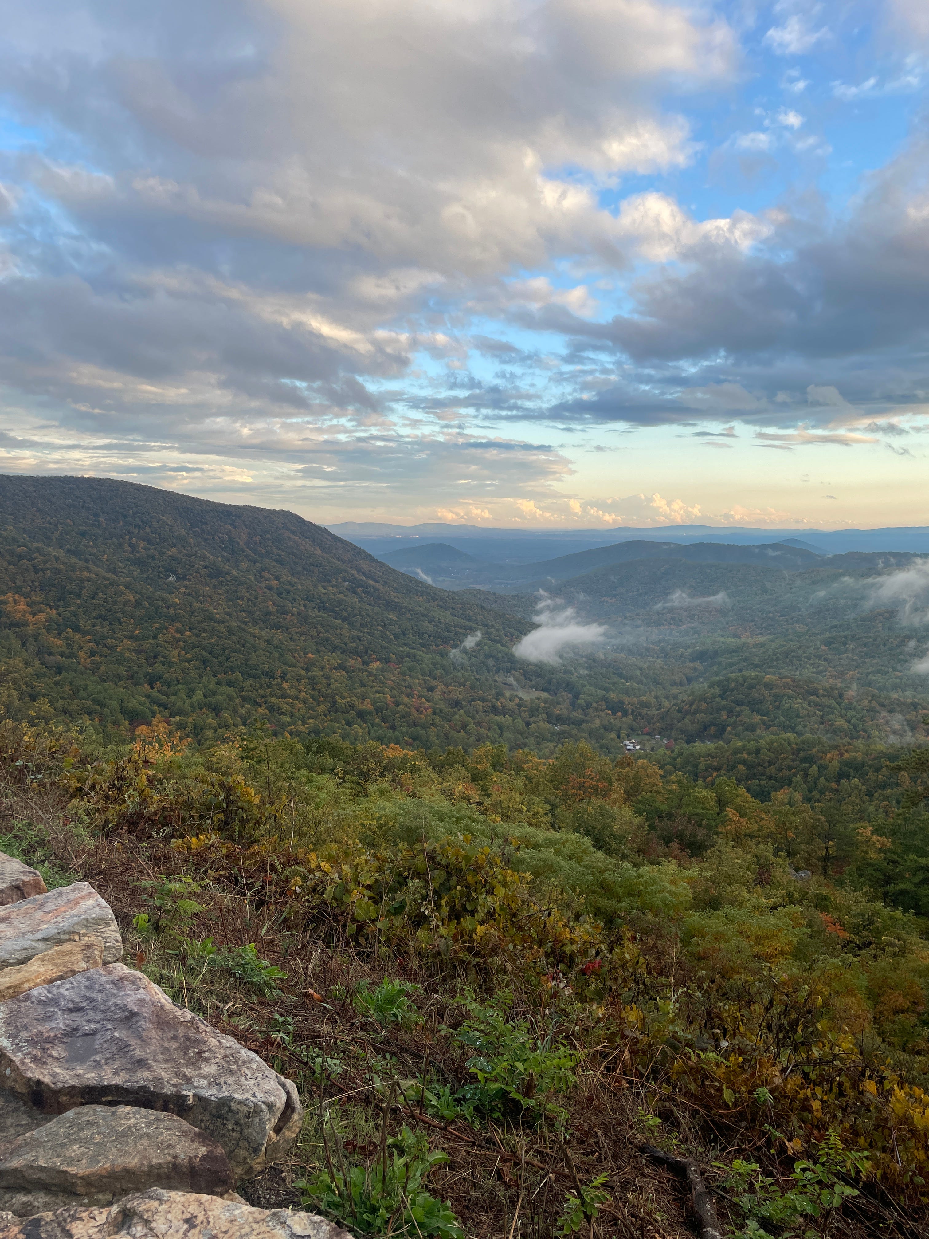 Golden Sunbeams Homer + Trudy's Substack