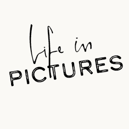 Artwork for Life in Pictures