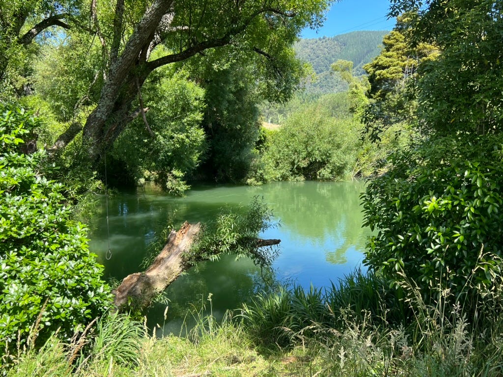 nz-river