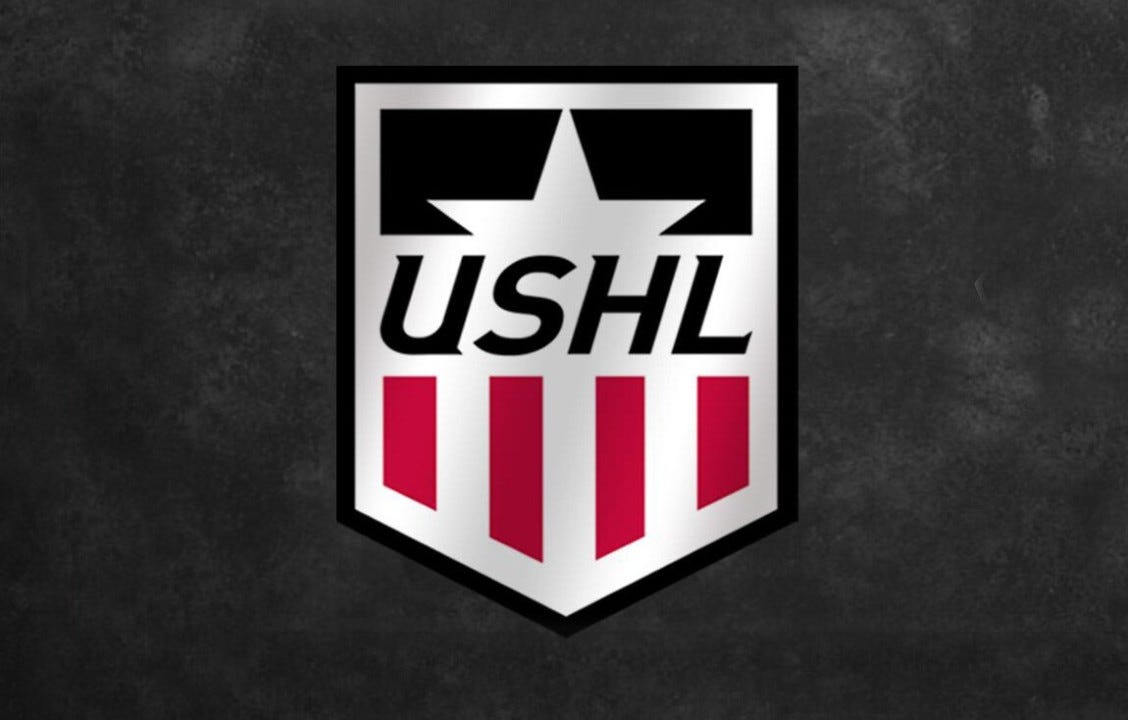 USHL Draft 2024 Favorite Picks By Team