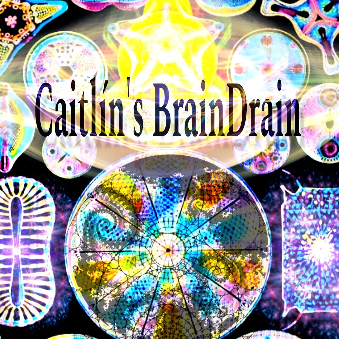Caitlín’s braindrain