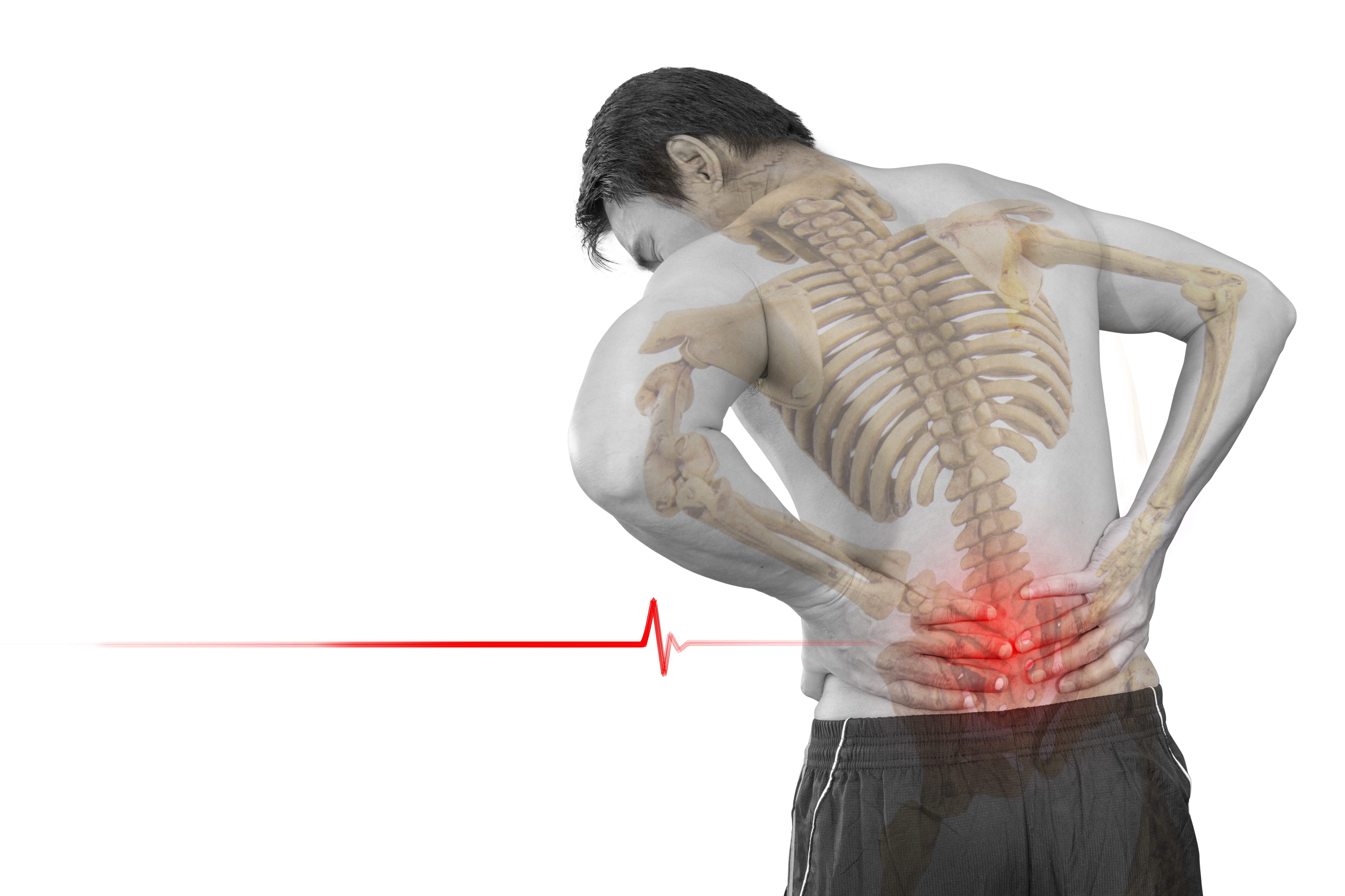 The Anatomy of Lower Back Pain, Low Back Pain