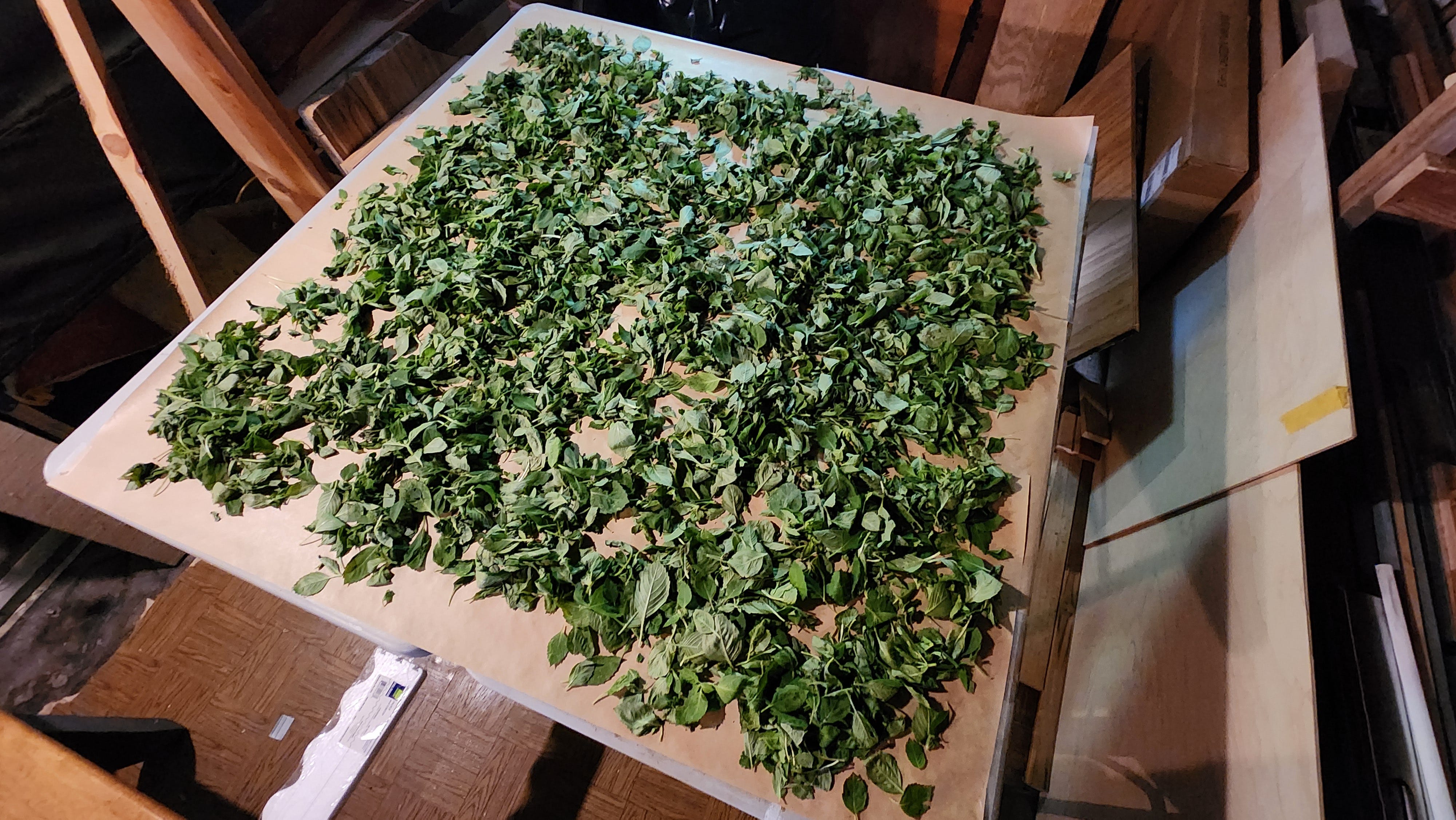 My Beautiful Flier and Why It's So by Charles Mitchell