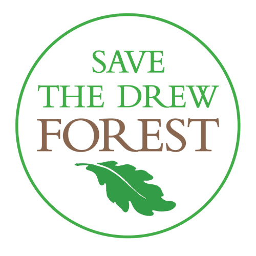 Artwork for Friends of the Drew Forest Newsletter
