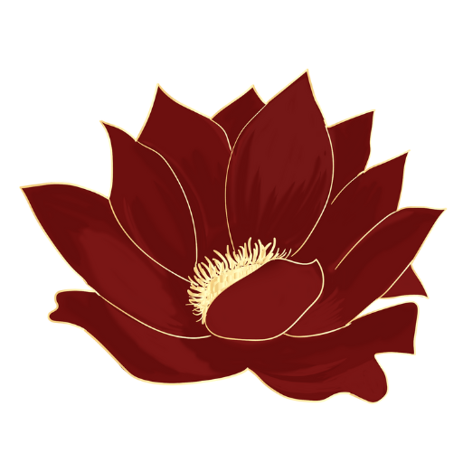 Lotus Flower Journeys