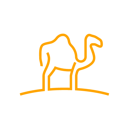 kamelo