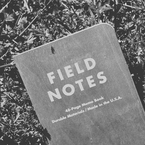 Field Notes on Love, Life, and Loss logo