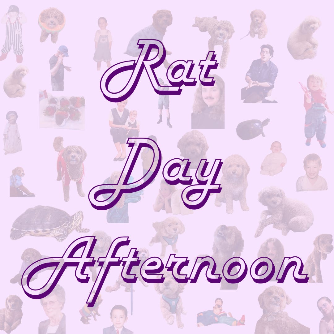 Rat Day Afternoon