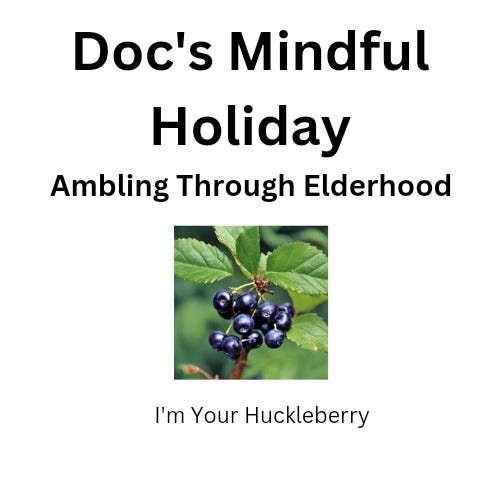 Doc's Mindful Holiday logo