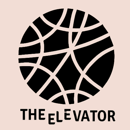 Artwork for The Elevator’s Substack