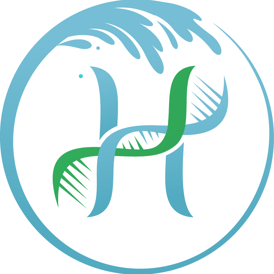 Holistic Wave logo