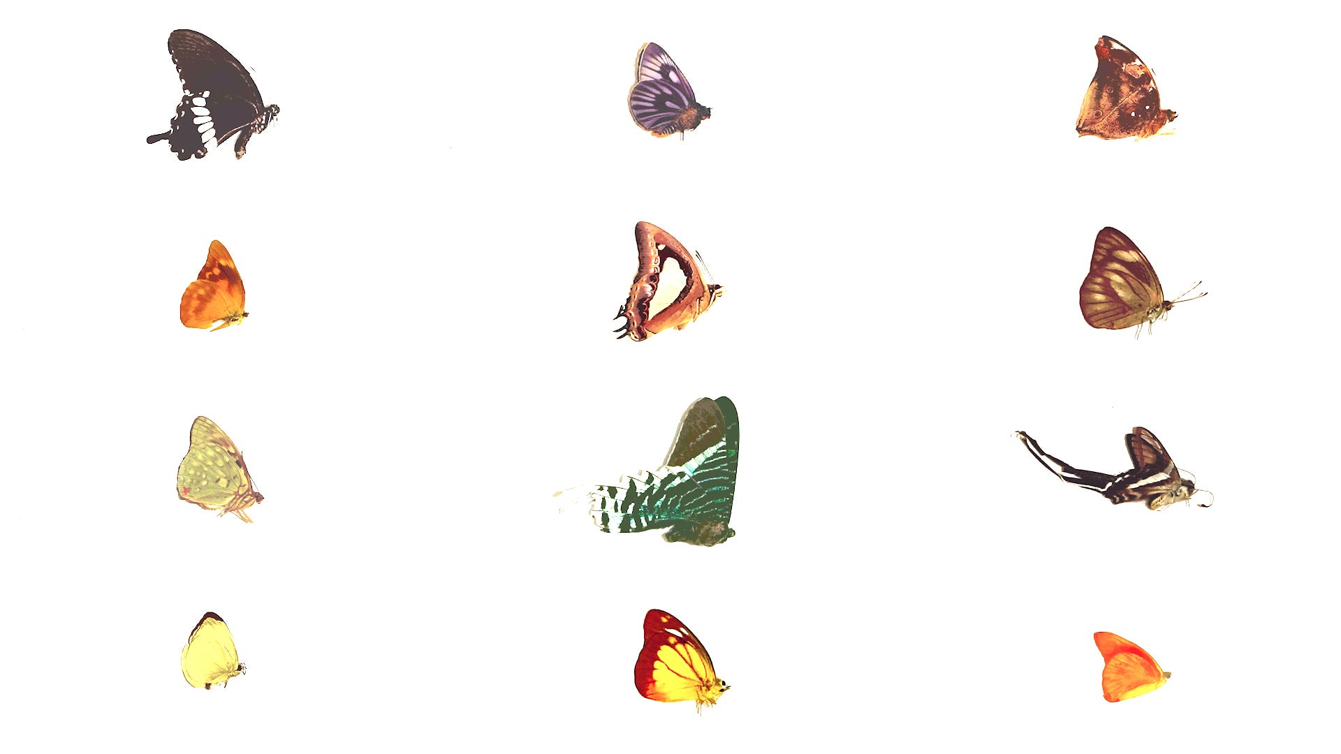 How to Punch a Hole in a Wall by wuthuh Lilac Letters