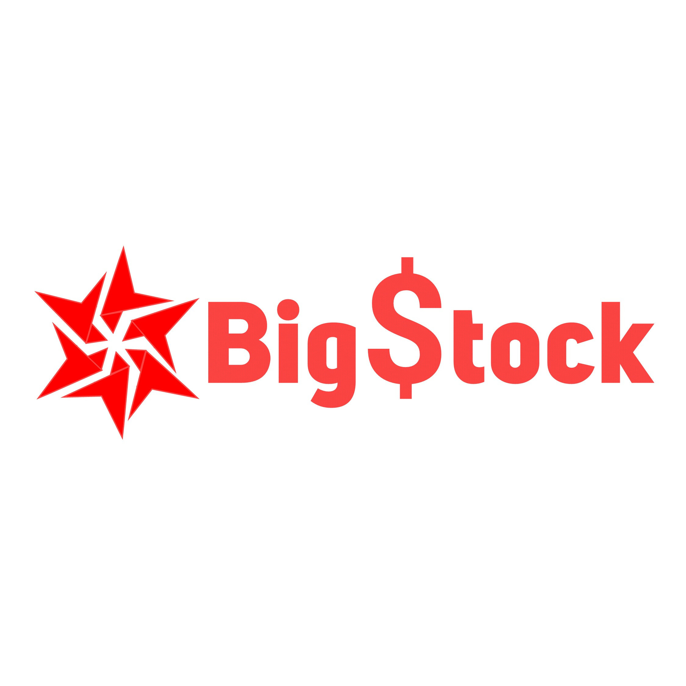 The Big Stock  logo