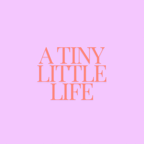 A tiny little life.  logo