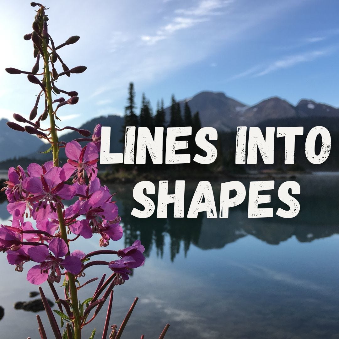 Lines Into Shapes