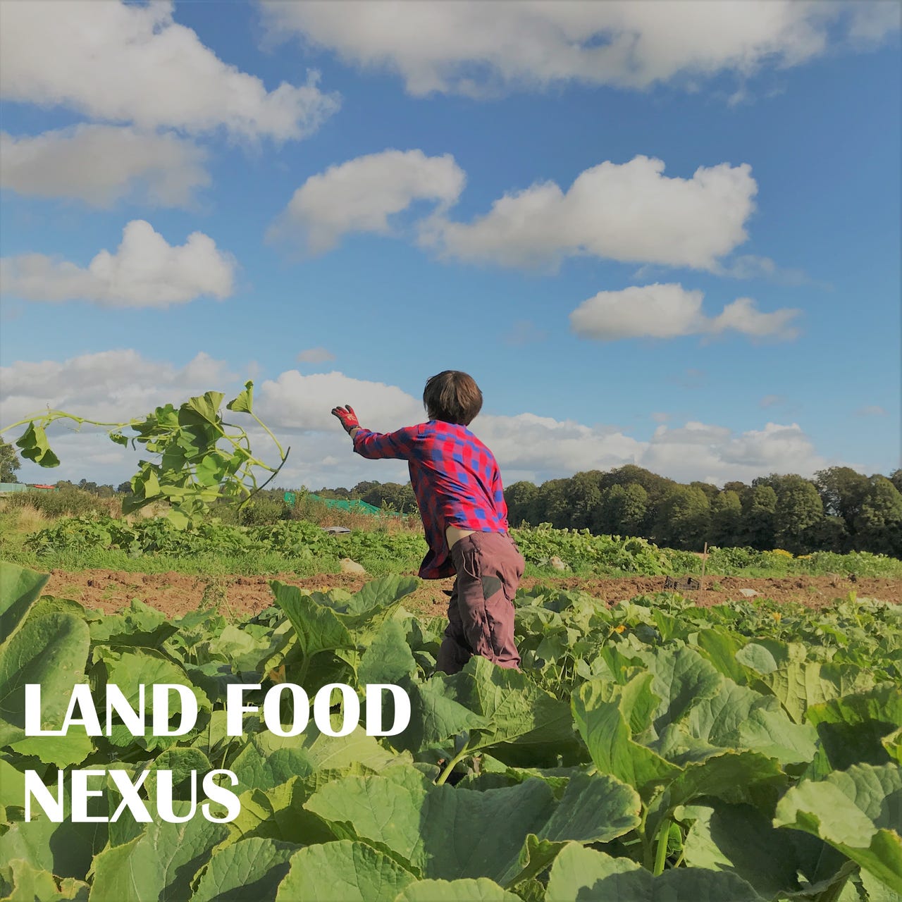 Land Food Nexus logo