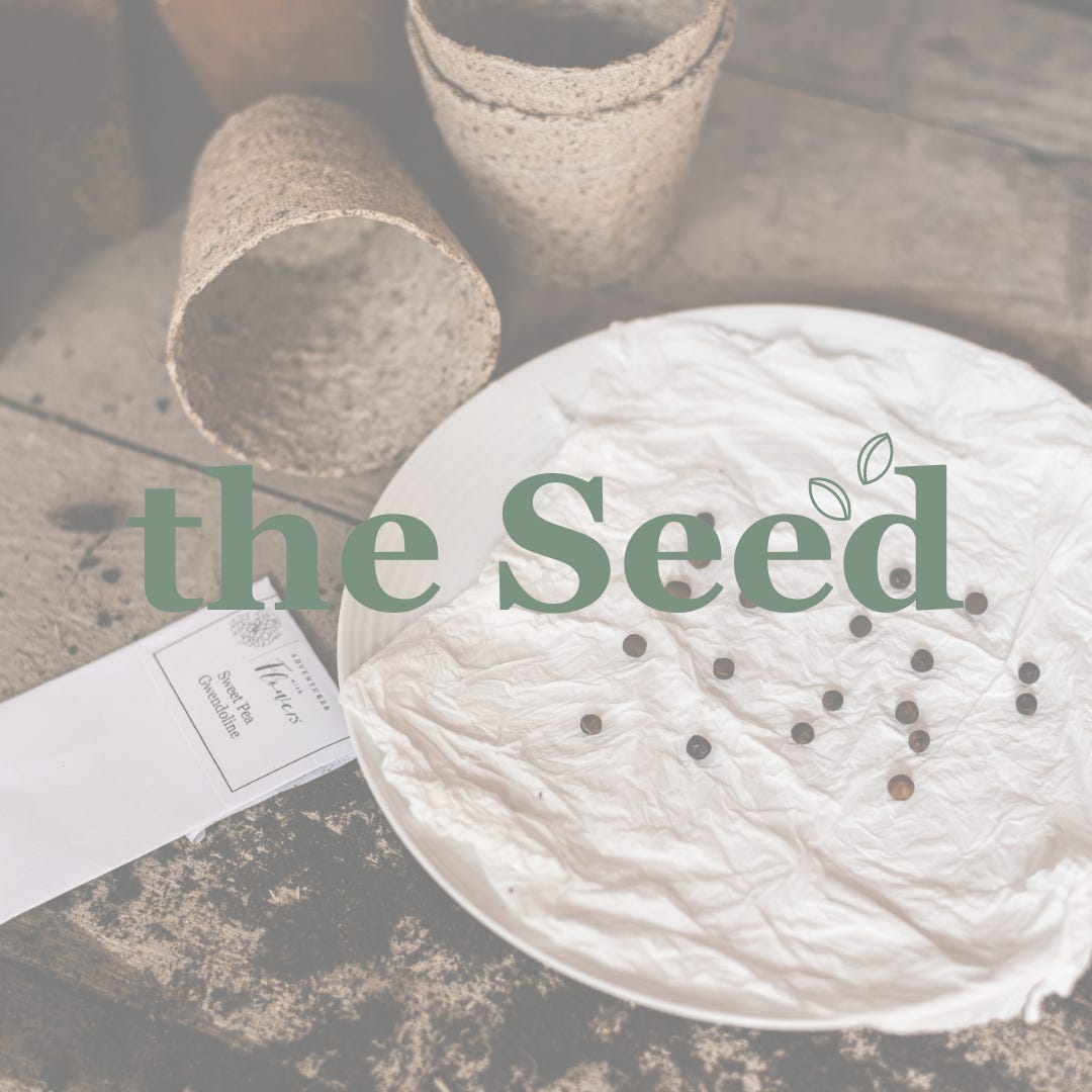 The Seed logo