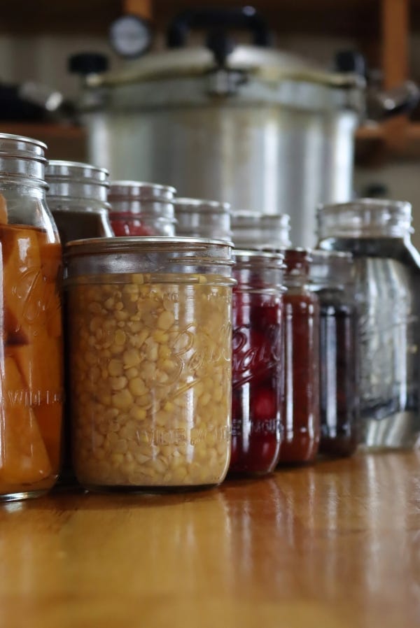 Winter Canning: A Love Affair with My Pressure Canner - Sufficient
