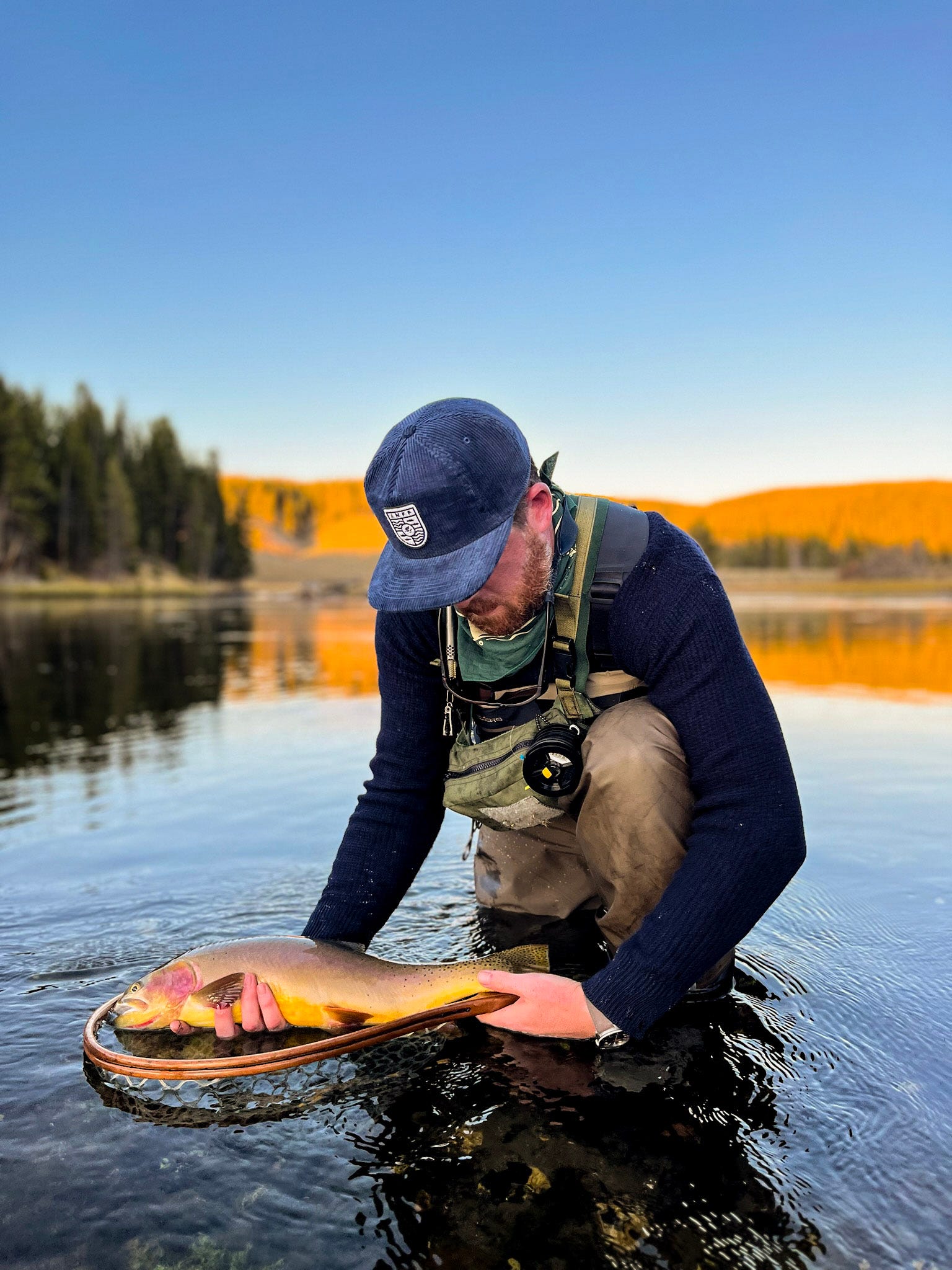 Fly Fishing Yellowstone National Park's Untamed Wilderness