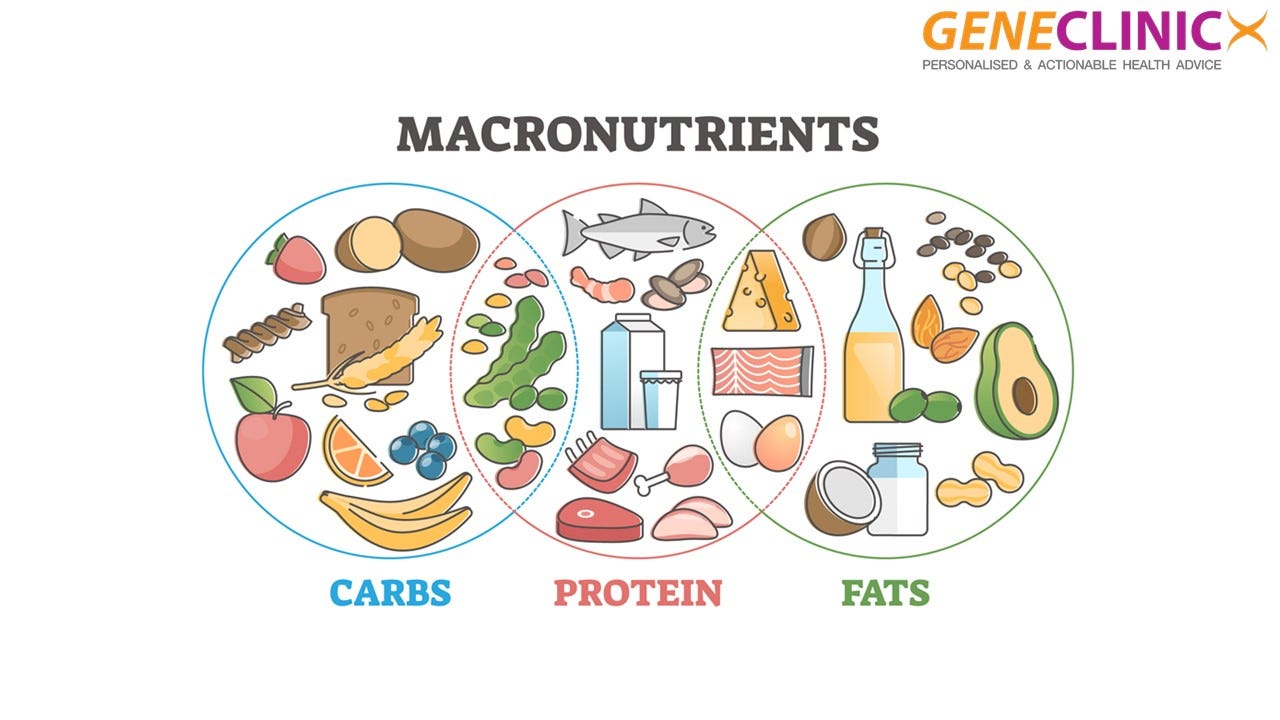 Post 35 The Macronutrient MythBusters Why Carbs, Fats, and Proteins