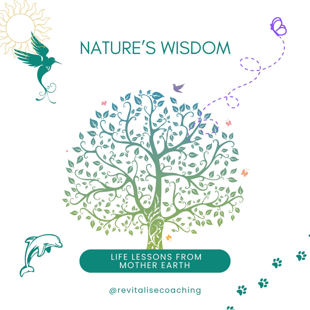 Nature's Wisdom - Life Lessons From Mother Earth