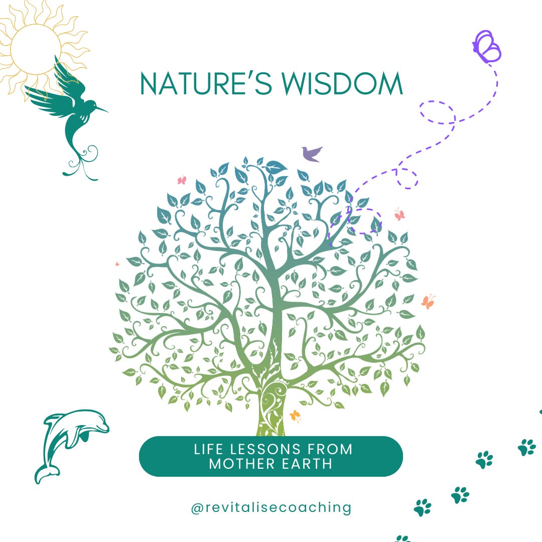 Artwork for Nature's Wisdom