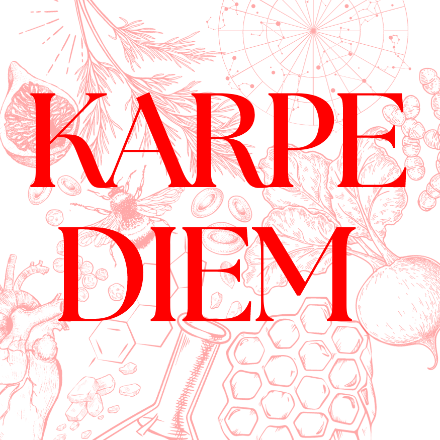 Artwork for KARPE DIEM xx dr kels