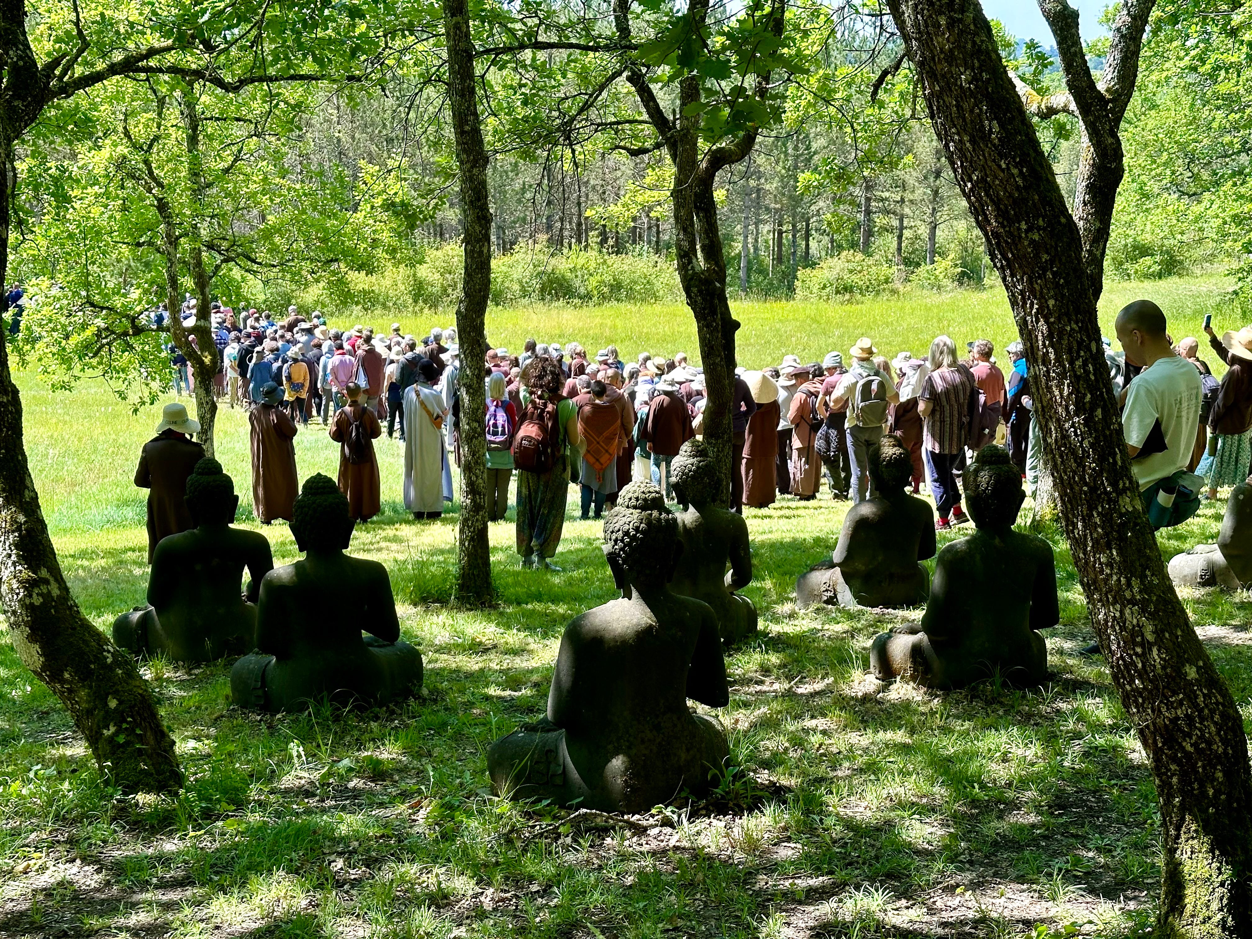 On World Meditation Day, The Power Of A Grateful Breath