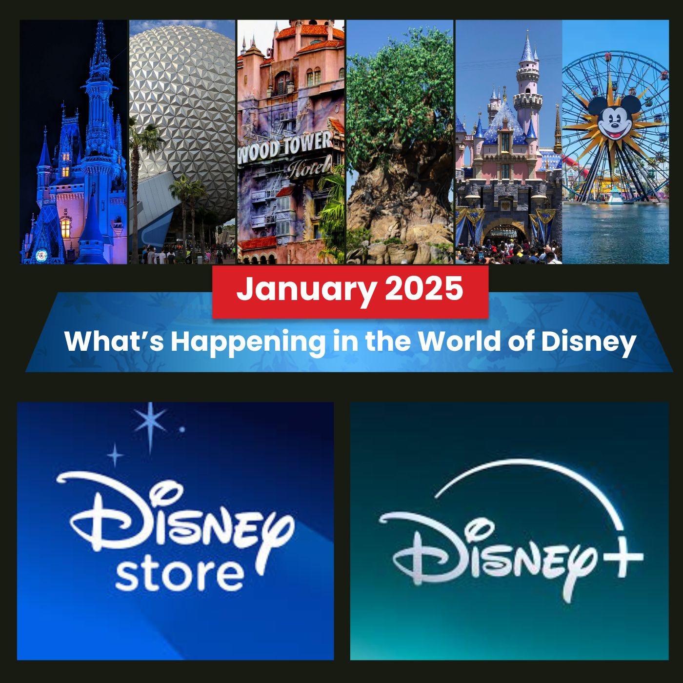 What's Happening in the World of Disney For January 2025