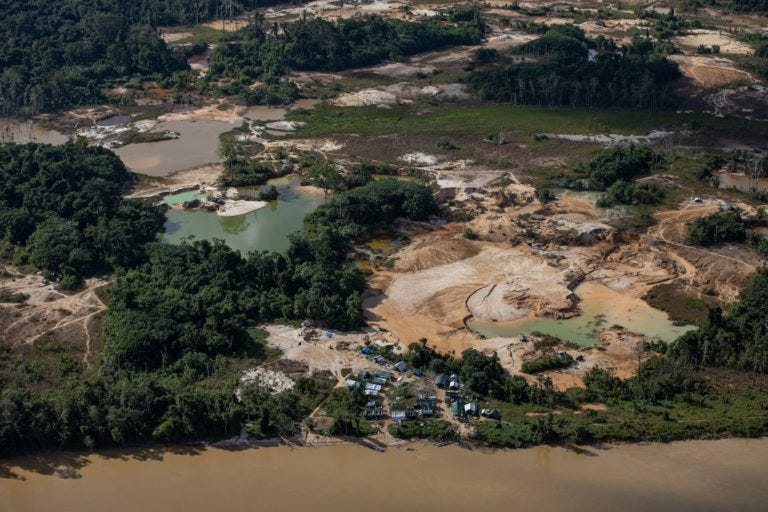 Illegal gold mining booms in Brazilian , harming environment