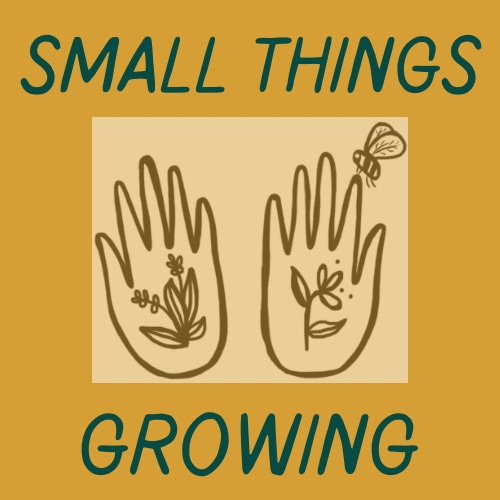 Artwork for Small Things Growing