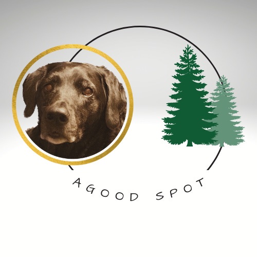 A Good Spot logo