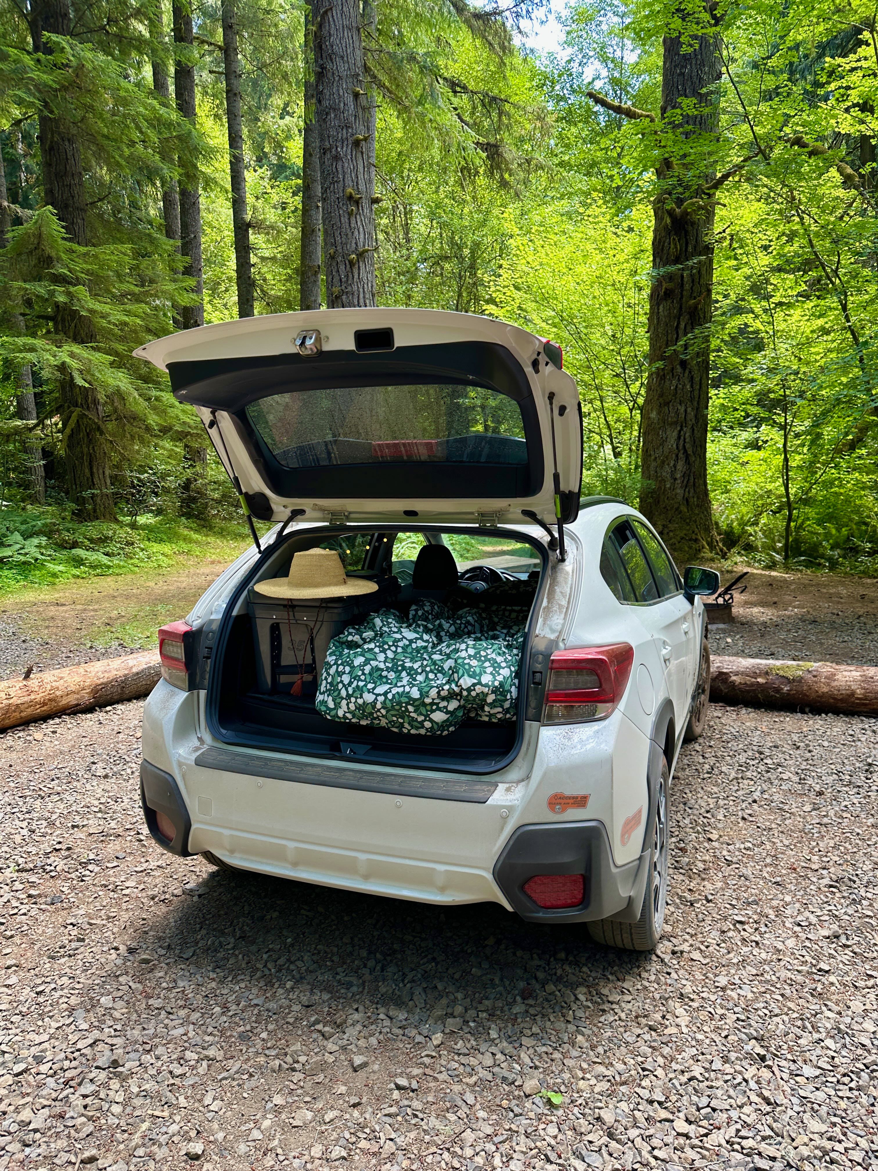 Issue #103: A Complete Guide to (Solo) Car Camping