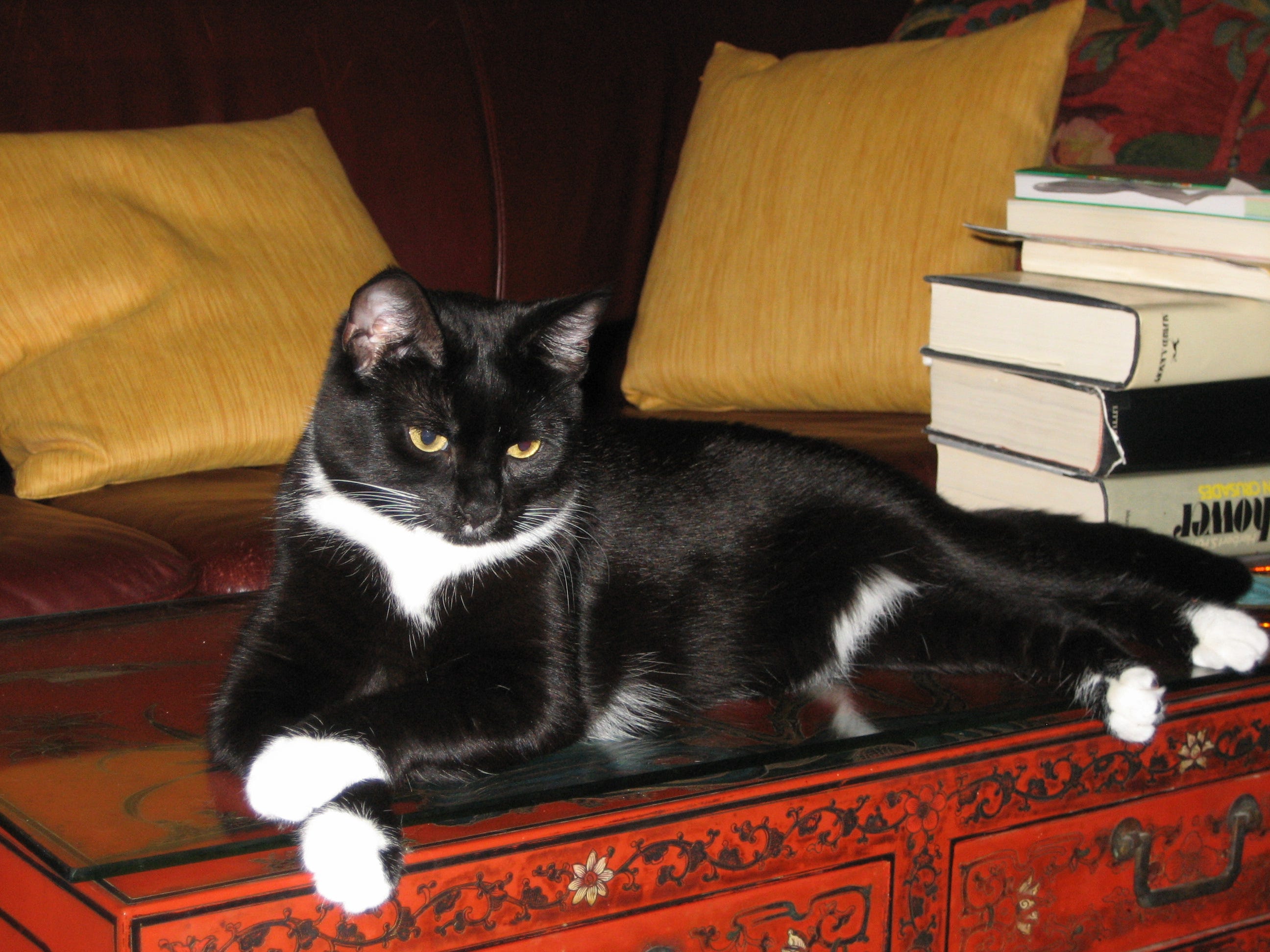 Diane's Cat Blanket - Black & White Cat