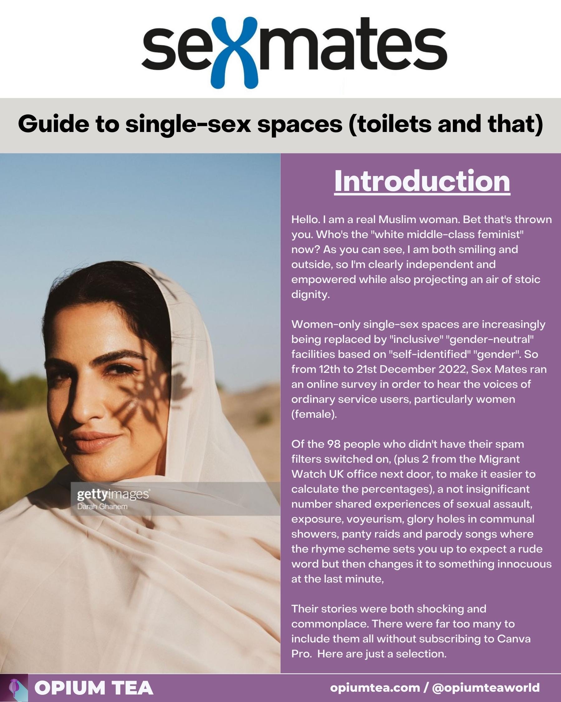 Sex Mates: Guide to single-sex spaces (toilets and that).