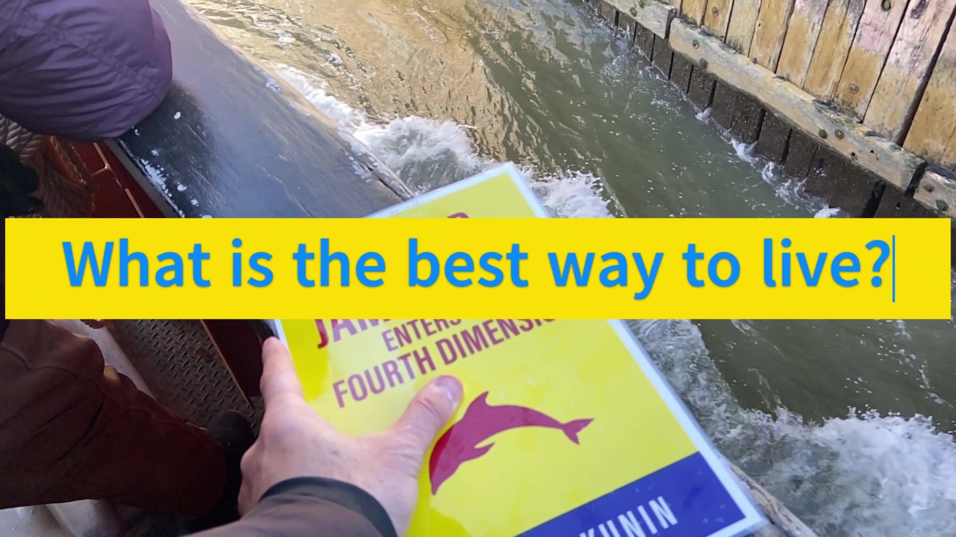 PIECES 22, 23 by David Kunin Off the Cushion