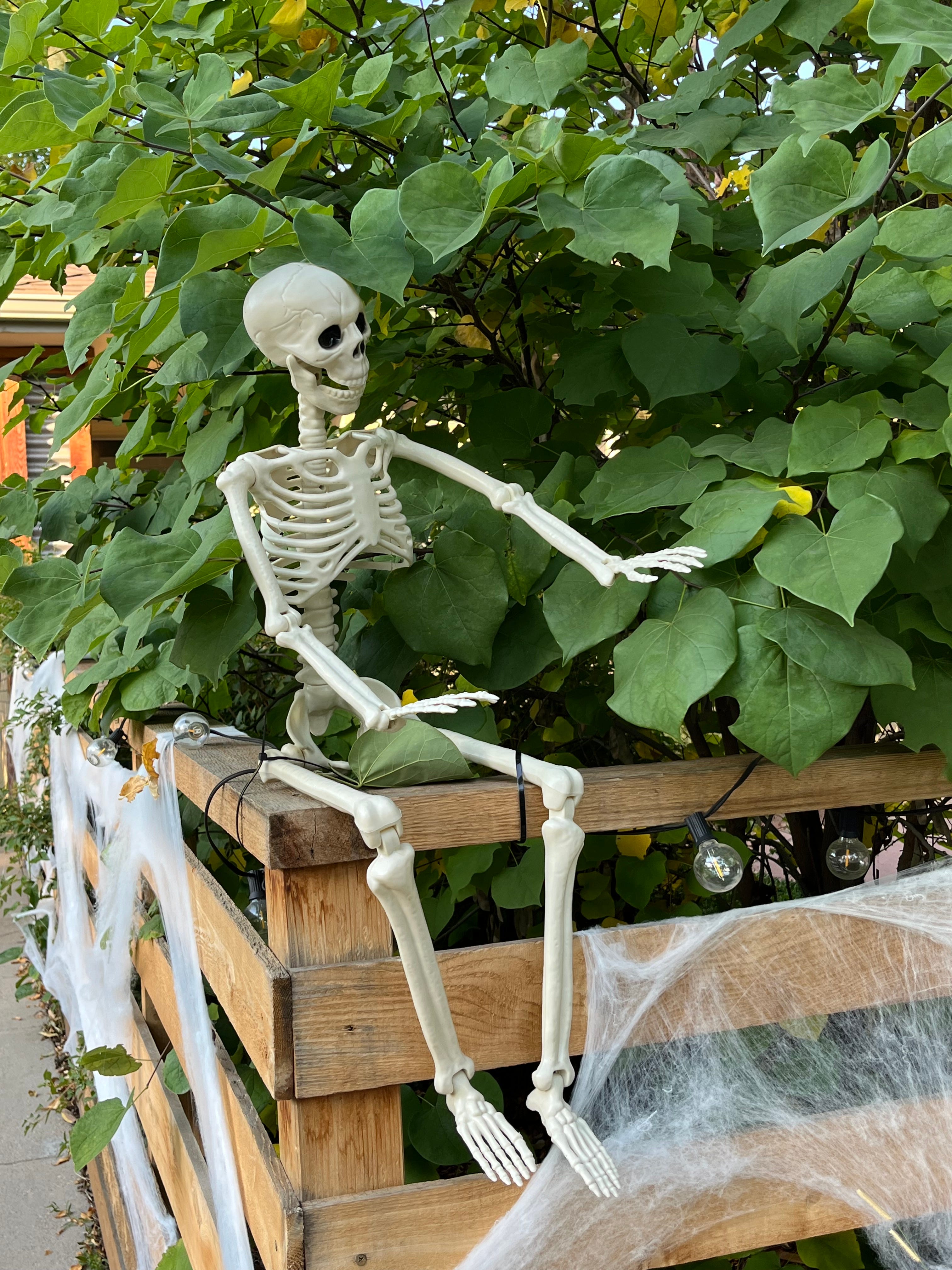 Befriending Fear How Letting Go Helped Me Reconnect with My Intuition