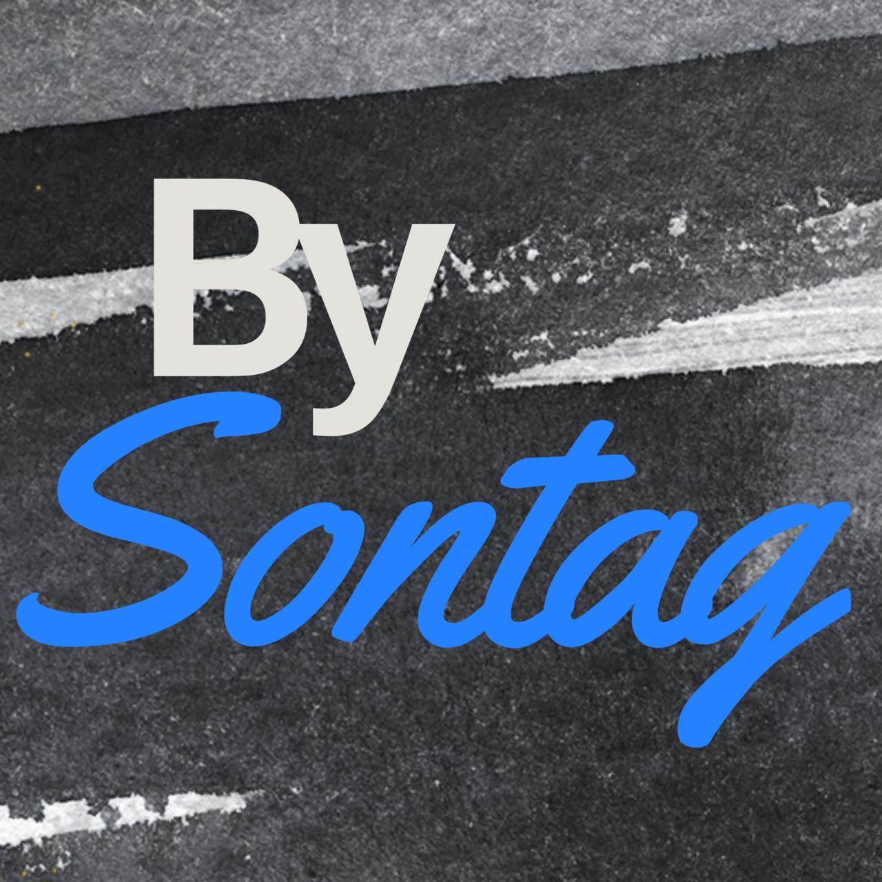 by sontag  logo