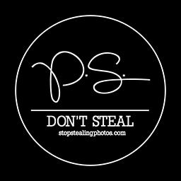 Photo Stealers: Beyond the Blog logo