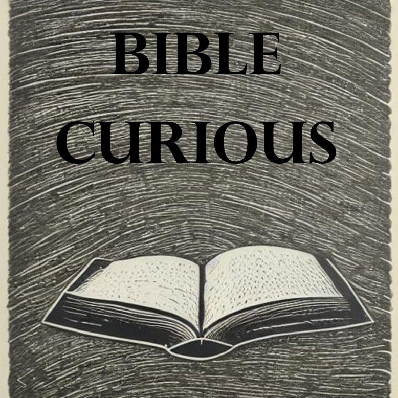 Artwork for Bible Curious