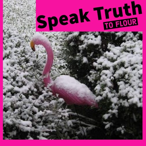 Speak Truth To Flour logo