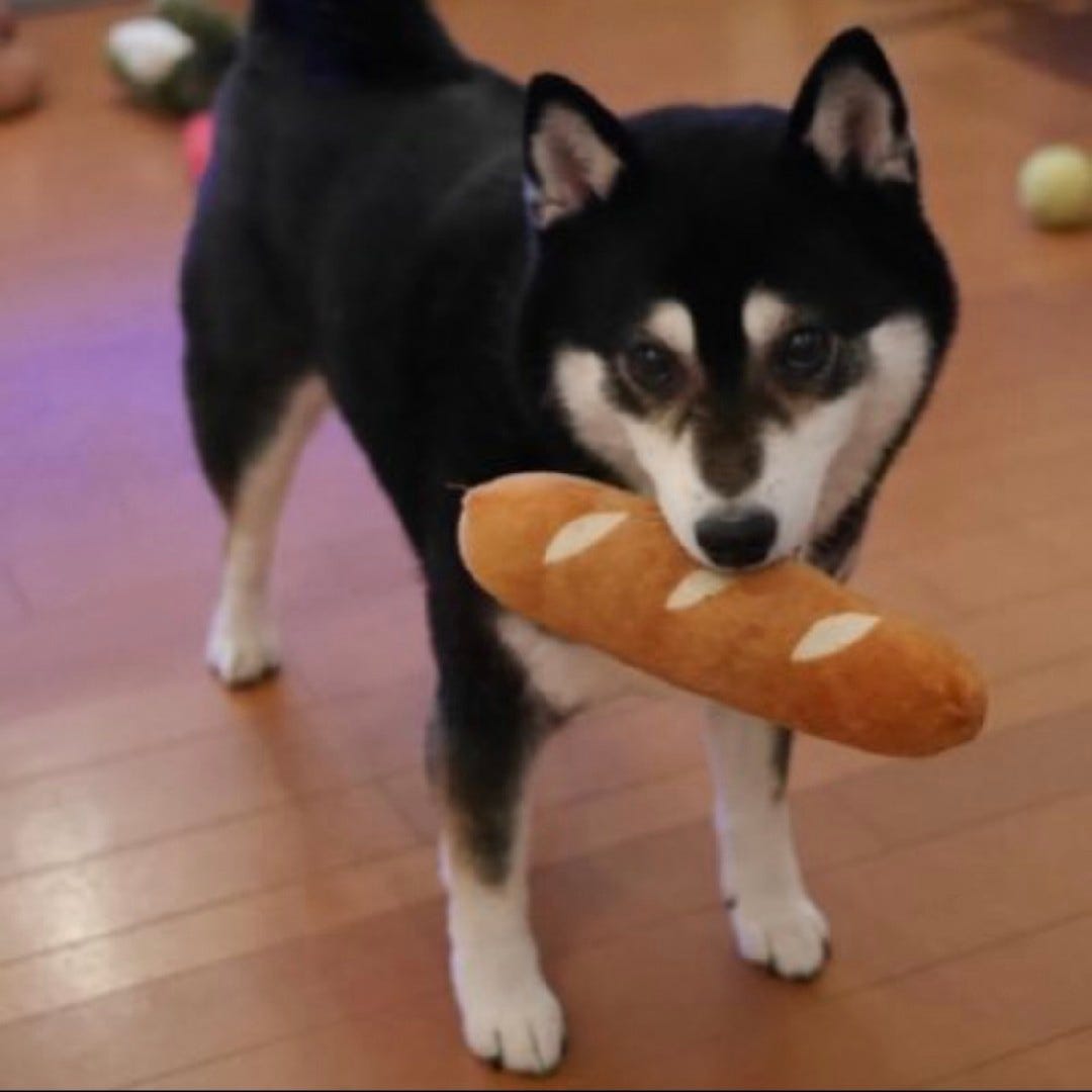 Preview image for How To Be Yourself Online