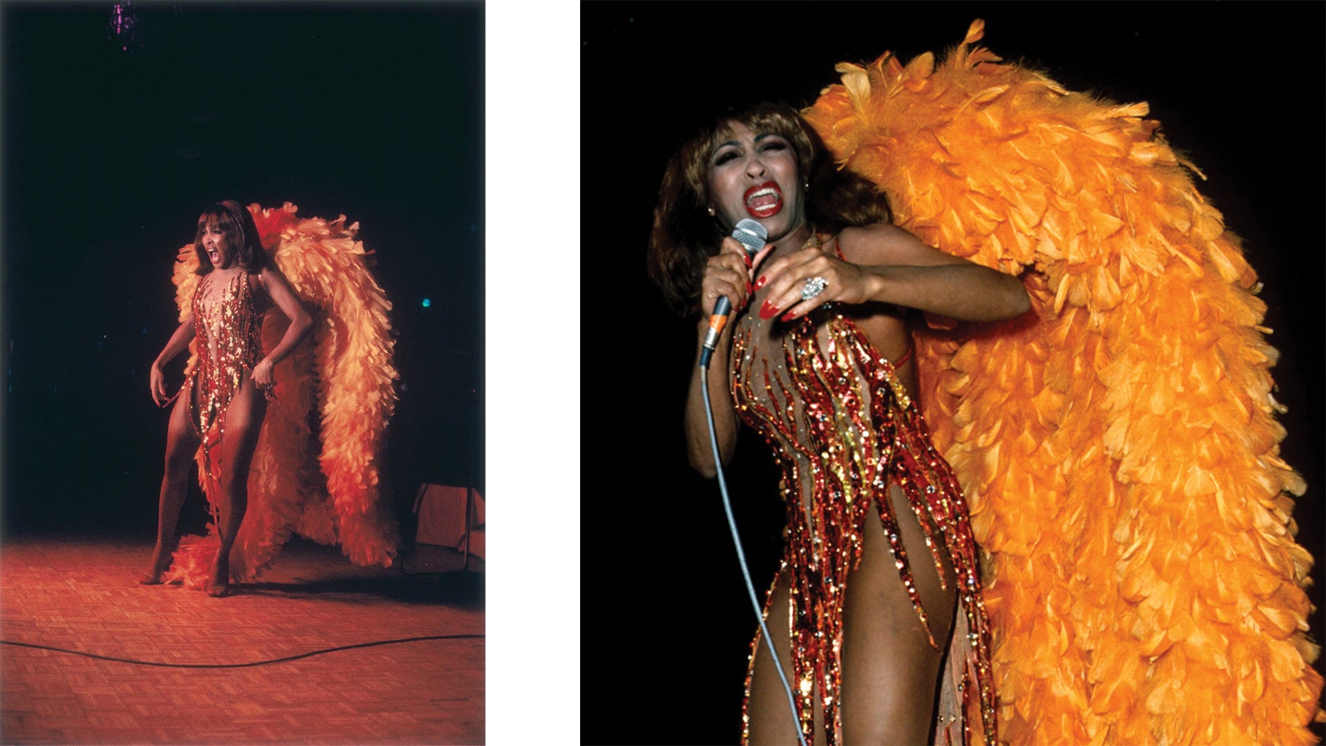 Tina Turner Gold Fringe Womens Costume Dress