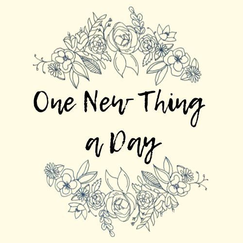 One New Thing a Day