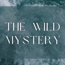 The Wild Mystery Letter