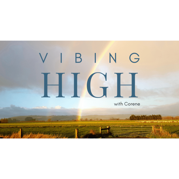 Artwork for VibingHigh