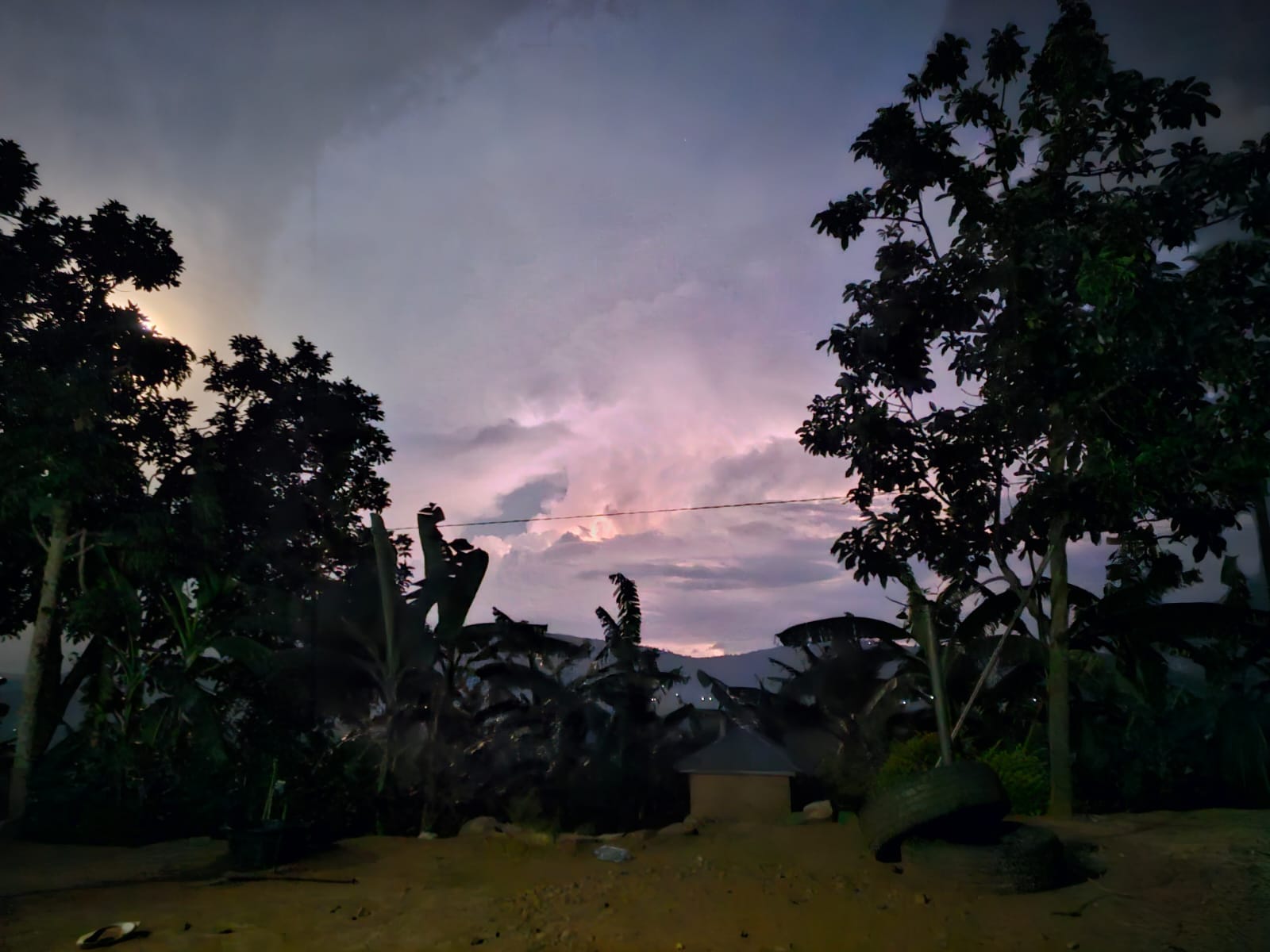 Day 11 by Charis Follow The Widows Garden Project 2024