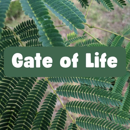 Gate of Life  logo