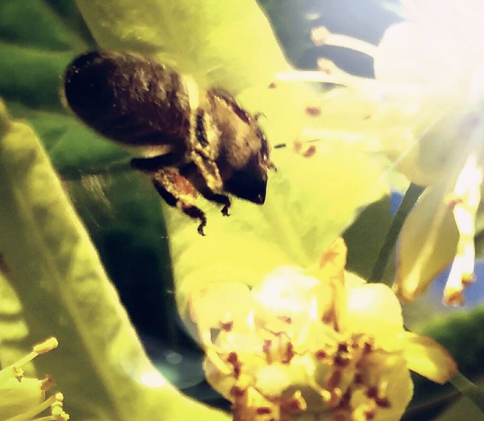 10 of the UK's best botanical hothouses for a winter warm-up | United  Kingdom holidays | The Guardian, image size:960x834